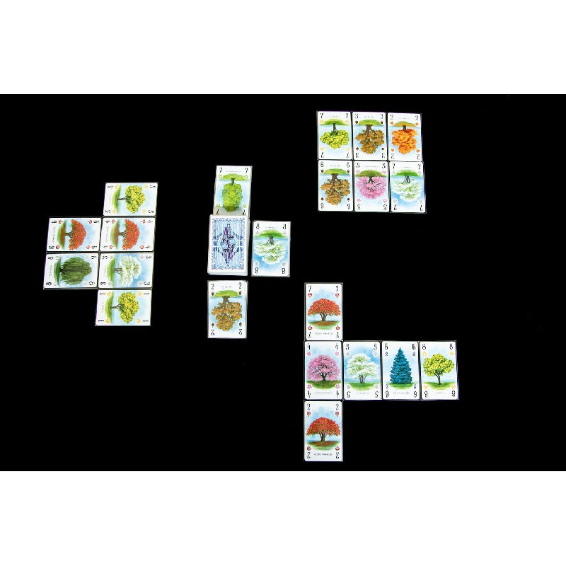 Arboretum | Juegos de Mesa | Gameria