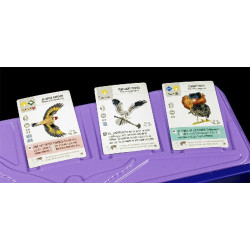 Wingspan Expansión Europea | Juegos de Mesa | Gameria