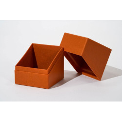 Caja Ultimate Guard Boulder Return To Earth 100+ Naranja | Accesorios | Gameria