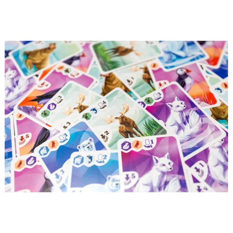 Ártico | Juegos de Mesa | Gameria