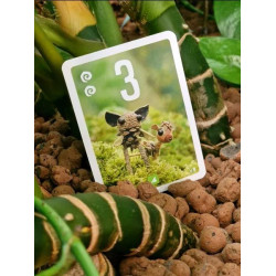 Pixies | Juegos de Mesa | Gameria