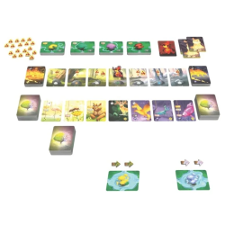 Living Forest Duel  | Juegos de Mesa | Gameria