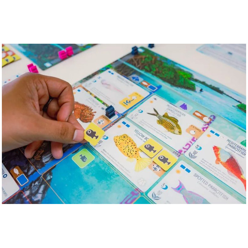 Finspan | Juegos de Mesa | Gameria