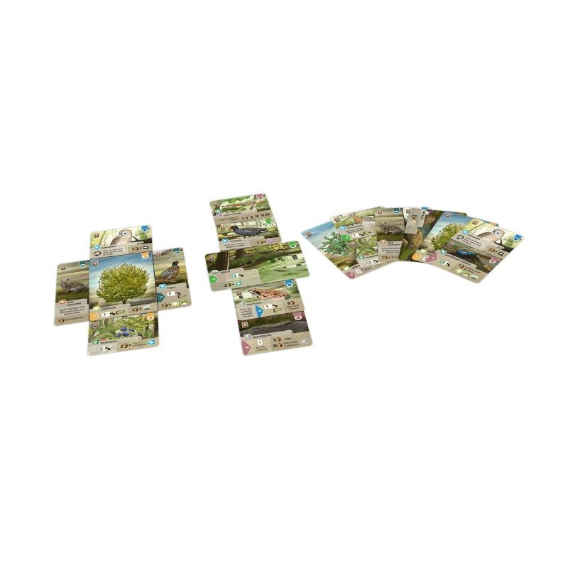 Forest Shuffle Dartmoor | Juegos de Mesa | Gameria