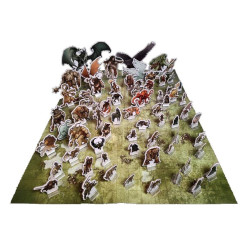 Dragonbane Peones y Mapas | Rol | Gameria