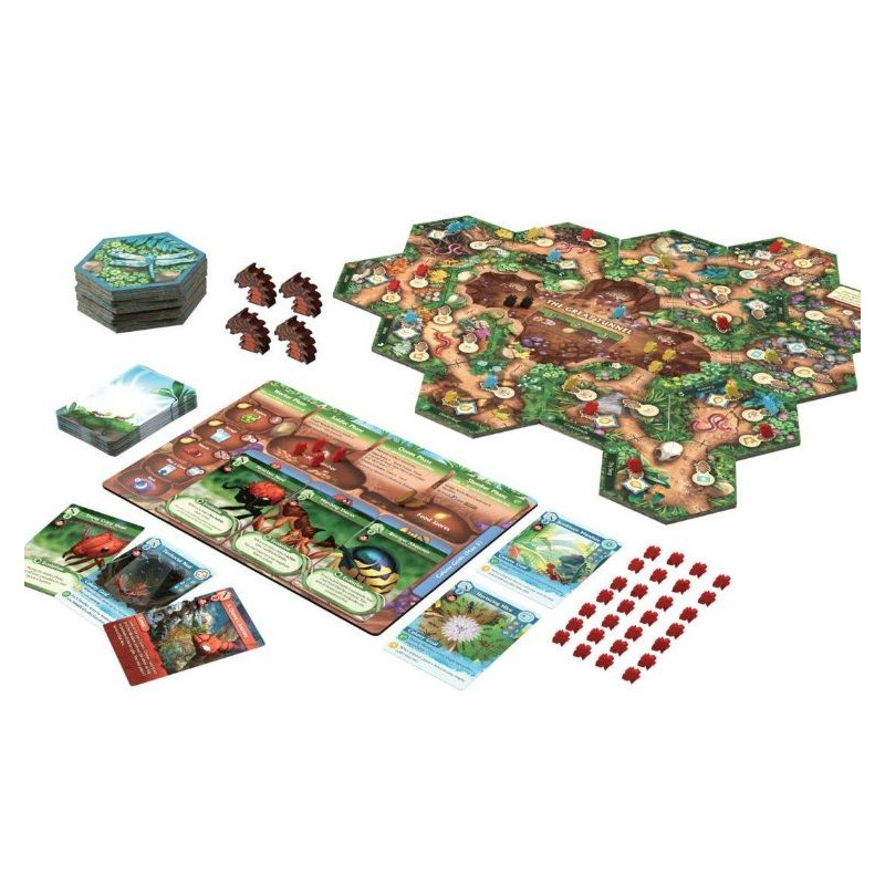 La Marcha de las Hormigas | Juegos de Mesa | Gameria