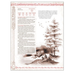 El anillo Único Reinos de los Tres Anillos (Catalàn) | Rol | Gameria