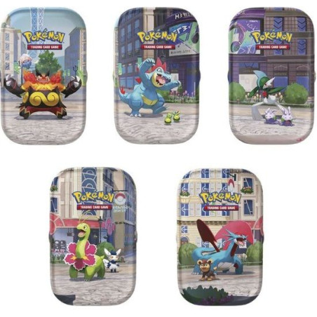 Pokémon Jcc Megaevolución Mini Lata Verano