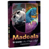 Madcala Los Gemelos y la Oruga Azul