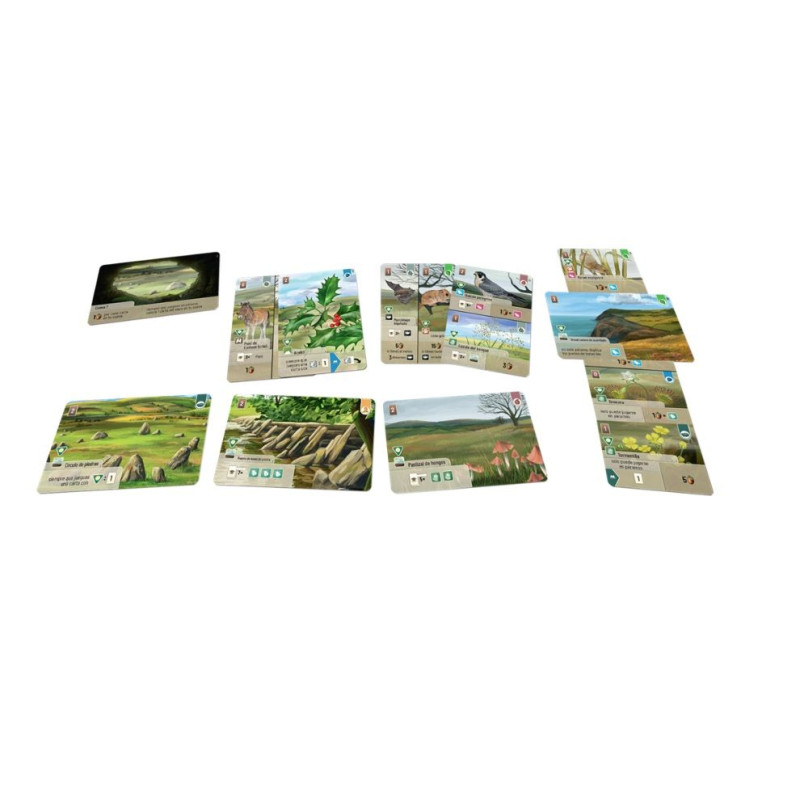 Forest Shuffle Dartmoor Exmoor | Juegos de Mesa | Gameria