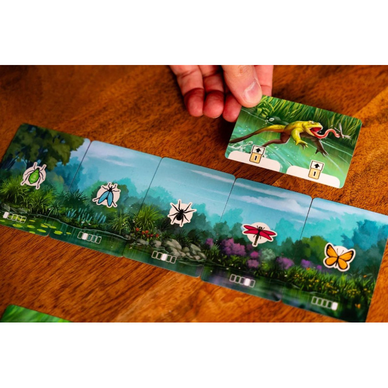 Pondscape | Juegos de Mesa | Gameria