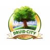 Druid City Games